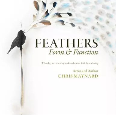 玩?zhèn)€毛??？他用一根鳥毛震撼了BBC，百萬人爭相收藏他的作品