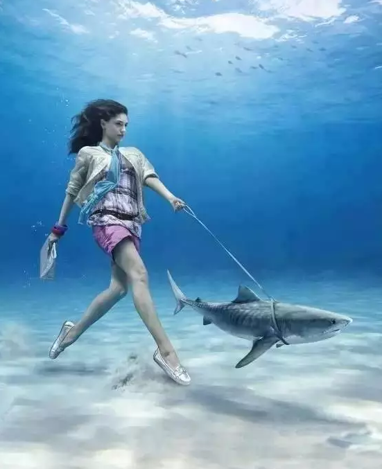 布里斯托回顧 | 2016最驚艷的40張照片，剛剛公布，震驚朋友圈！