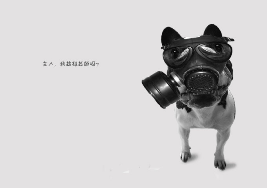 霧霾天氣來襲，我們可以做什么