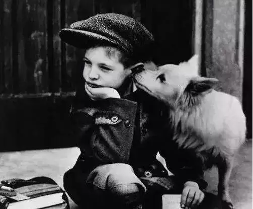 愿有一個(gè)人，偷偷愛著你--布里斯托