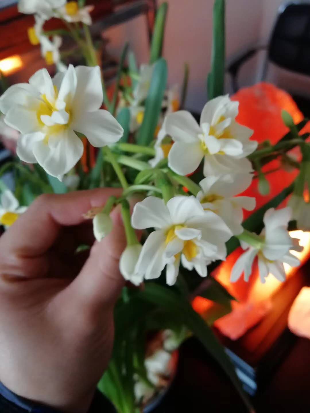 春來(lái)到，布里斯托空壓機(jī)春意盎然